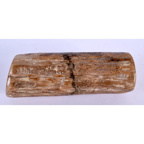 298C - A PREHISTORIC PETRIFIED WOOD SPECIMEN 24 cm x 7 cm.