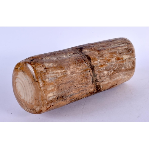 298C - A PREHISTORIC PETRIFIED WOOD SPECIMEN 24 cm x 7 cm.