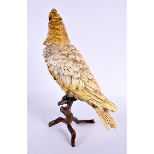 305 - A CONTEMPORARY COLD PAINTED BRONZE BIRD. 30 cm high.