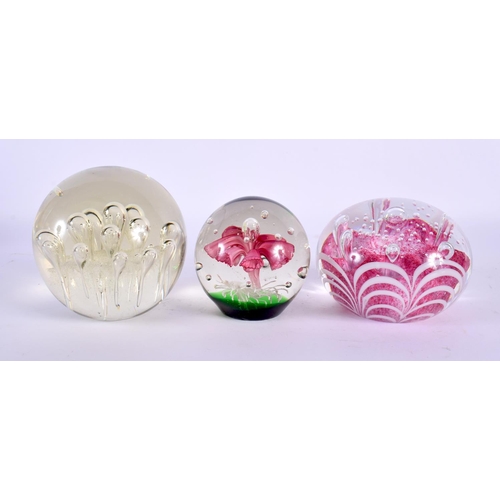 44 - THREE GLASS PAPERWEIGHTS. Largest 9.25 cm wide. (3)