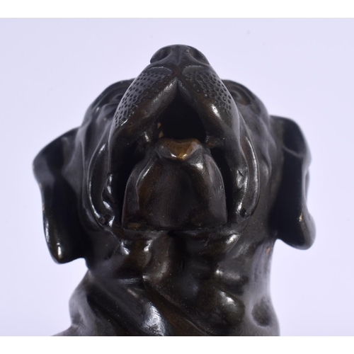 477 - A CHARMING EARLY 20TH CENTURY EUROPEAN BRONZE DOG BUSINESS CARD HOLDER with articulated jaw. 21 cm x... 