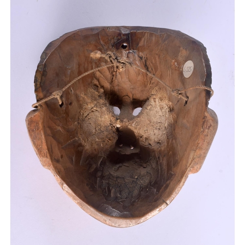 488 - AN EARLY CONTINENTAL FOLK ART POLYCHROMED WOOD MASK. 21 cm x 14 cm.