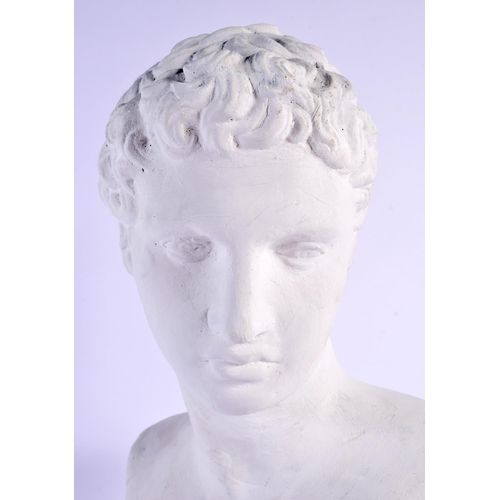 496 - A CONTEMPORARY BUST OF APOLLO. 42 cm x 15 cm.