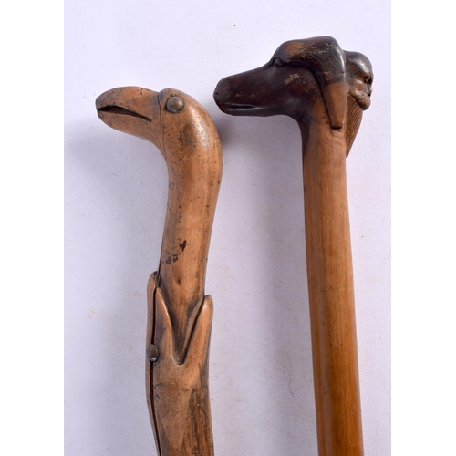 583 - TWO ANTIQUE FOLK ART WALKING CANES. 90 cm long. (2)