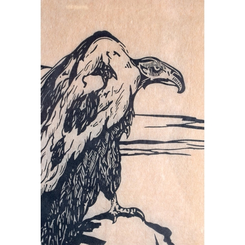 683 - Continental School (Early 20th Century) Engraving Lithograph, Vulture, FK. 52 cm x 30 cm.