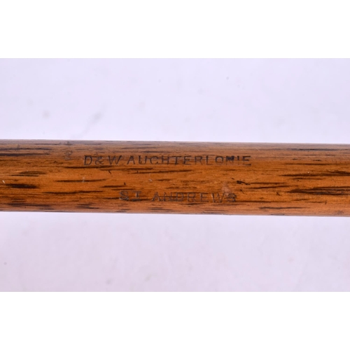 691 - A D & W AUCHTERLONIE OF ST ANDREWS PERSIMMON WOOD DRIVING GOLF CLUB with hickory shaft. 110 cm long.