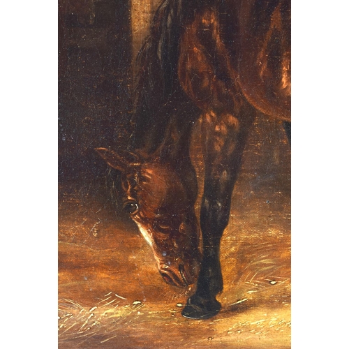 710 - Attributed to Martin Theodore Ward (19th Century) Oil on canvas, Pigs and a horse. 60 cm x 42 cm.