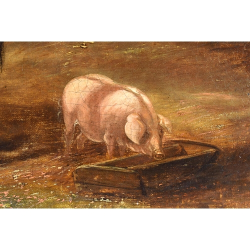 710 - Attributed to Martin Theodore Ward (19th Century) Oil on canvas, Pigs and a horse. 60 cm x 42 cm.