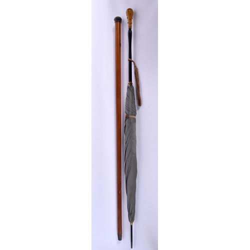 721A - AN ANTIQUE AMBER HANDLED PARASOL and a silver mounted cane. Largest 88 cm long. (2)