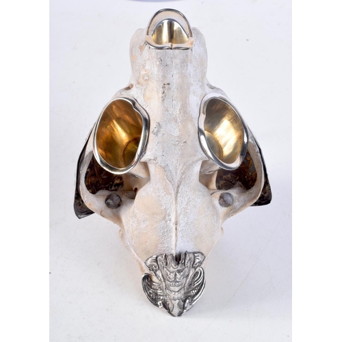 1122 - A RARE 19TH CENTURY INDIAN SILVER MOUNTED TIGER SKULL SMOKERS COMPENDIUM with associated silver spoo... 