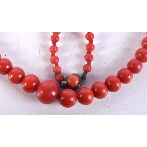 1434D - A BLOOD RED CORAL NECKLACE. 53 cm long.