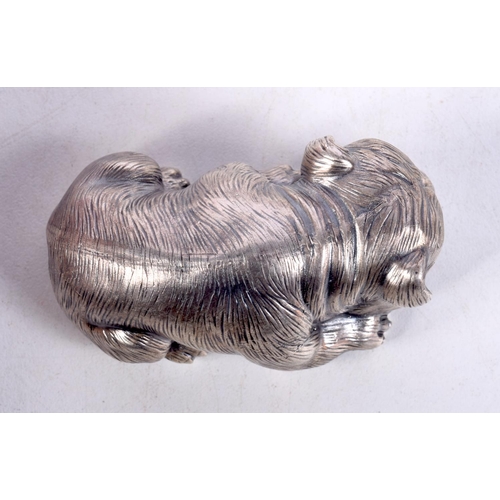 819 - A CONTINENTAL SILVER DOG WITH GEM SET EYES.  Stamped 88, 3.2cm x 6.5cm x 3.6cm, weight 60.3g