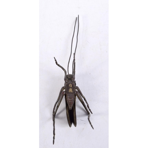 825 - A JAPANESE BRONZE ARTICULATED LONG HORNED GRASSHOPPER.  13.7cm x 2.3cm x 3.1cm