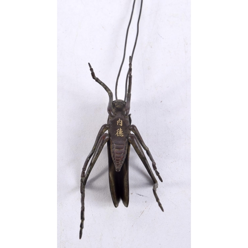 825 - A JAPANESE BRONZE ARTICULATED LONG HORNED GRASSHOPPER.  13.7cm x 2.3cm x 3.1cm