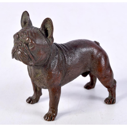 834 - A BRONZE BULLDOG.  6.8cm x 7.7cm