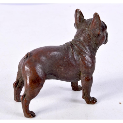 834 - A BRONZE BULLDOG.  6.8cm x 7.7cm