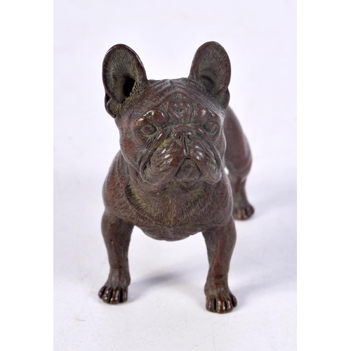 834 - A BRONZE BULLDOG.  6.8cm x 7.7cm