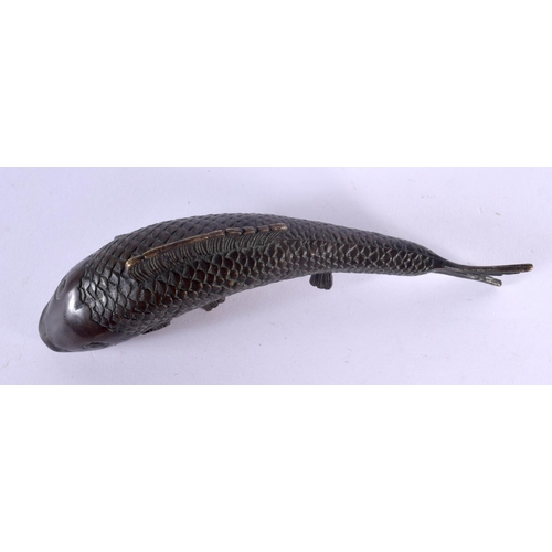 1542 - A JAPANESE TAISHO PERIOD BRONZE OKIMONO OF A CARP of naturalistic form. 18 cm x 5 cm.