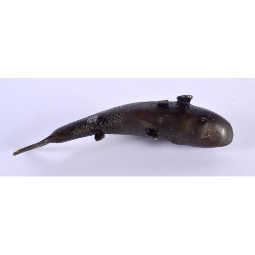 1542 - A JAPANESE TAISHO PERIOD BRONZE OKIMONO OF A CARP of naturalistic form. 18 cm x 5 cm.