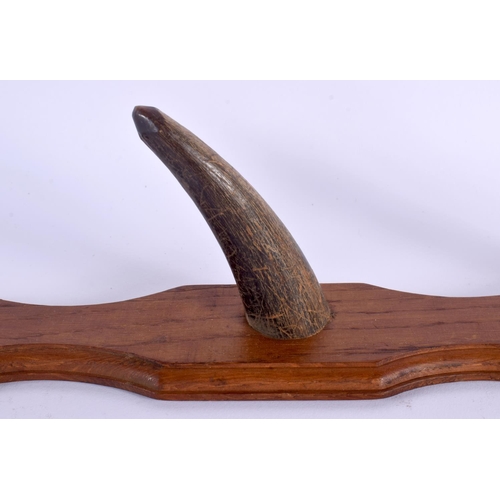 1670 - A PAIR OF 19TH CENTURY MIDDLE EASTERN CARVED HORN COAT RACKS upon wooden plinths. 50 cm long.