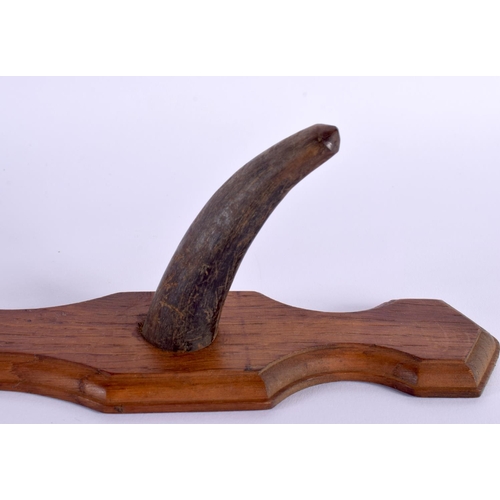 1670 - A PAIR OF 19TH CENTURY MIDDLE EASTERN CARVED HORN COAT RACKS upon wooden plinths. 50 cm long.