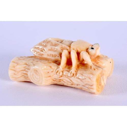 1678 - A JAPANESE CARVED FLY NETSUKE. 5 cm x 3 cm.