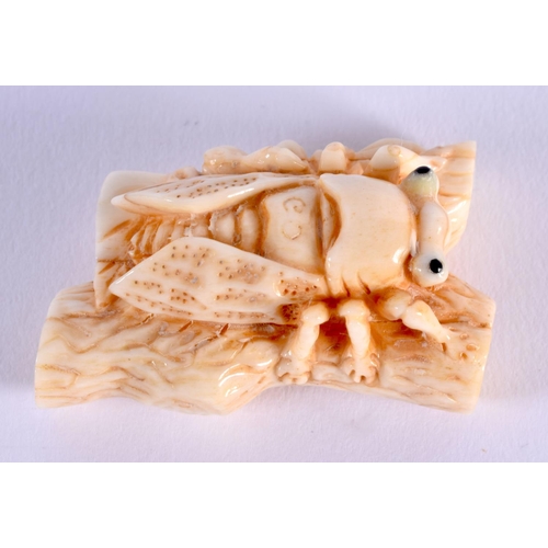 1678 - A JAPANESE CARVED FLY NETSUKE. 5 cm x 3 cm.