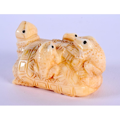 1680 - A JAPANESE CARVED BONE TORTOISE NETSUKE. 5 cm x 3 cm.