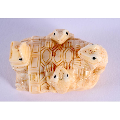 1680 - A JAPANESE CARVED BONE TORTOISE NETSUKE. 5 cm x 3 cm.