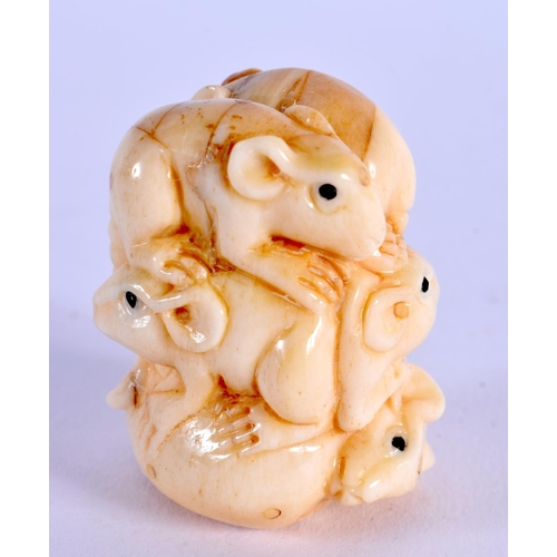 1698 - A JAPANESE CARVED BONE RAT NETSUKE. 5 cm x 3 cm.