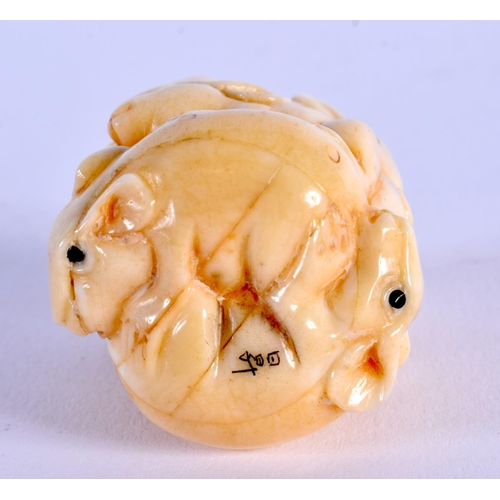 1698 - A JAPANESE CARVED BONE RAT NETSUKE. 5 cm x 3 cm.