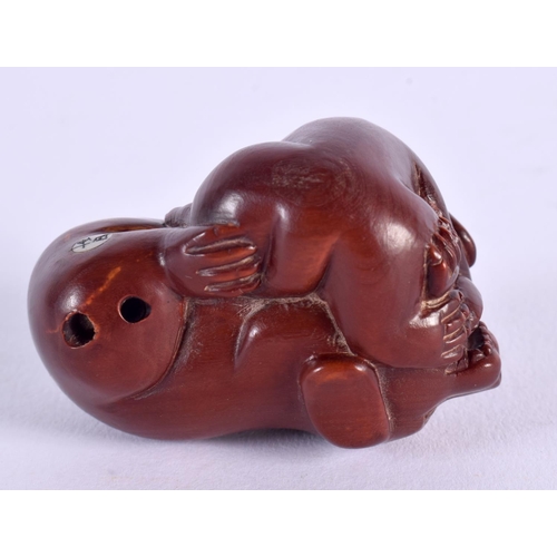 1749 - A JAPANESE CARVED BOXWOOD DOG OKIMONO. 4.75 cm x 3.5 cm.