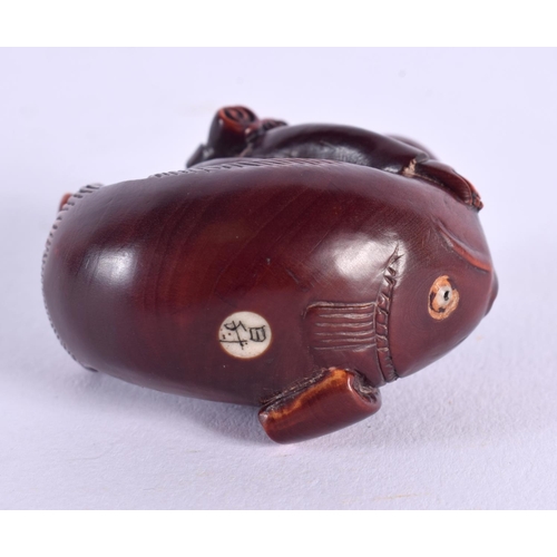 1773 - A JAPANESE CARVED BOXWOOD FISH NETSUKE. 4.5 cm x 4 cm.