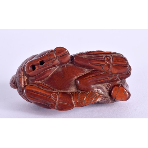 1789 - A JAPANESE CARVED BOXWOOD RAM OKIMONO. 7 cm x 3.5 cm.