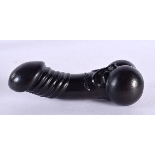 1998 - A JAPANESE CARVED BOXWOOD EROTIC NETSUKE modelled as a phallus 11 cm wide.