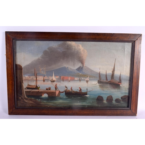 308 - Italian School (19th Century) Pair, Oil on canvas, Mount Vesuvius. 38 cm x 58 cm.