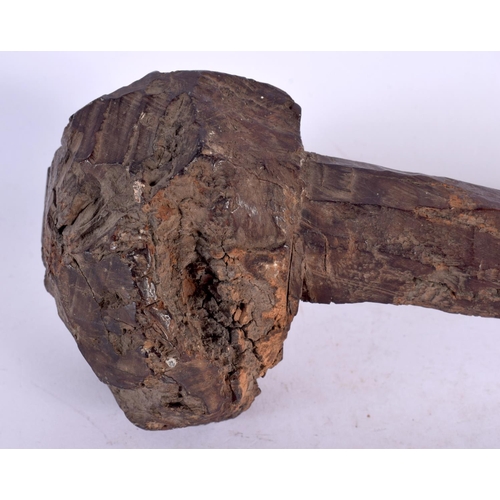 351 - A TRIBAL CARVED WOOD THROWING CLUB. 45 cm long.
