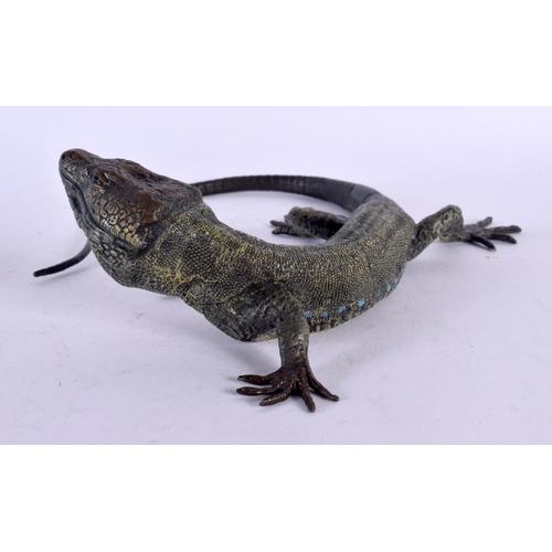 420 - A CONTEMPORARY COLD PAINTED BRONZE LIZARD. 20 cm x 15 cm.