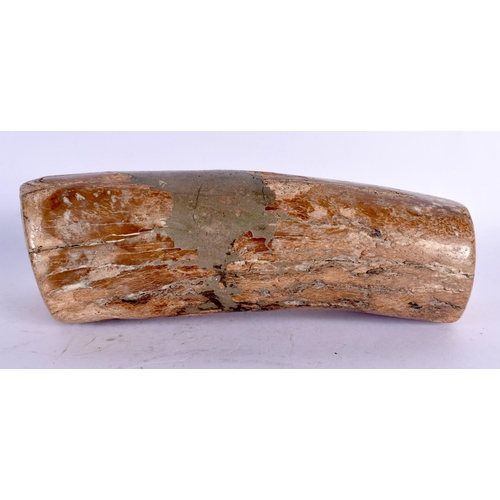 54 - A PREHISTORIC PETRIFIED WOOD SPECIMEN 24 cm x 7 cm.