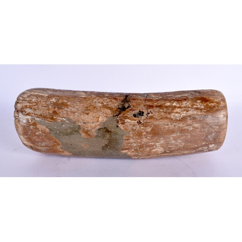 54 - A PREHISTORIC PETRIFIED WOOD SPECIMEN 24 cm x 7 cm.