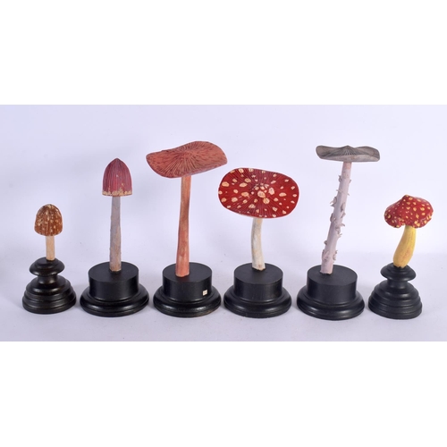 565 - SIX FOLK ART CARVED WOOD MUSHROOM SPECIMENS Largest 26 cm high. (6)