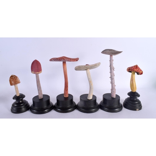 565 - SIX FOLK ART CARVED WOOD MUSHROOM SPECIMENS Largest 26 cm high. (6)