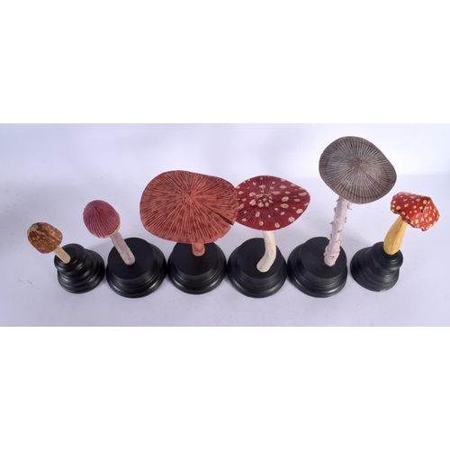 565 - SIX FOLK ART CARVED WOOD MUSHROOM SPECIMENS Largest 26 cm high. (6)