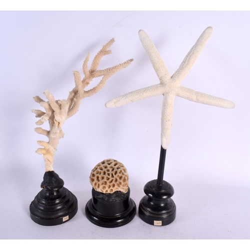 567 - THREE VINTAGE CORAL SPECIMENS Largest 32 cm high. (3)