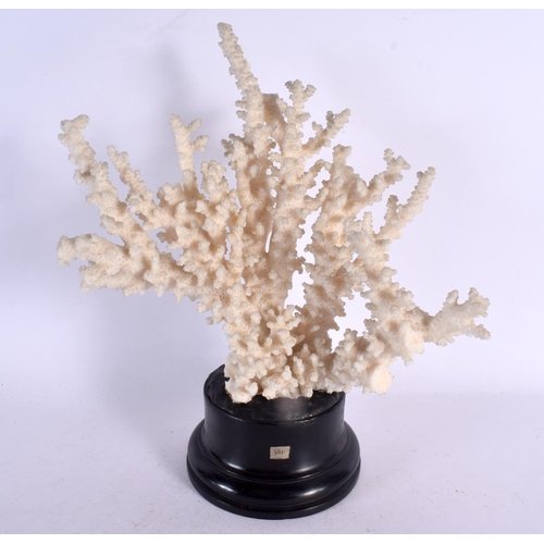 568 - A VINTAGE CORAL SPECIMEN 34 cm x 22 cm.