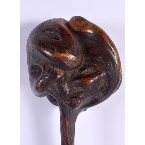 570 - A 19TH CENTURY JAPANESE MEIJI PERIOD CARVED ROOTWOOD CLUB of naturalistic form. 34 cm long.