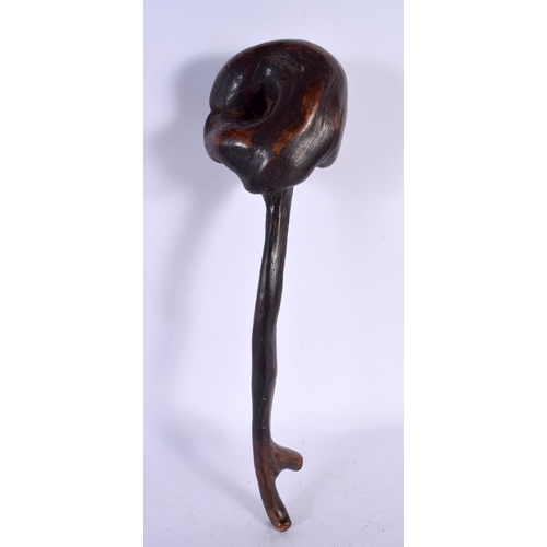 570 - A 19TH CENTURY JAPANESE MEIJI PERIOD CARVED ROOTWOOD CLUB of naturalistic form. 34 cm long.