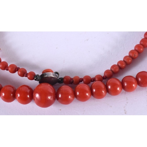 744C - A BLOOD RED CORAL NECKLACE. 53 cm long.