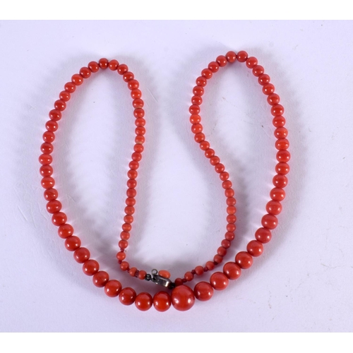 744C - A BLOOD RED CORAL NECKLACE. 53 cm long.