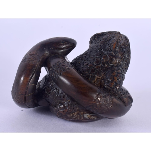 1531 - A JAPANESE CARVED BOXWOOD SNAKE AND TOAD NETSUKE. 3.5 cm x 3.5 cm.